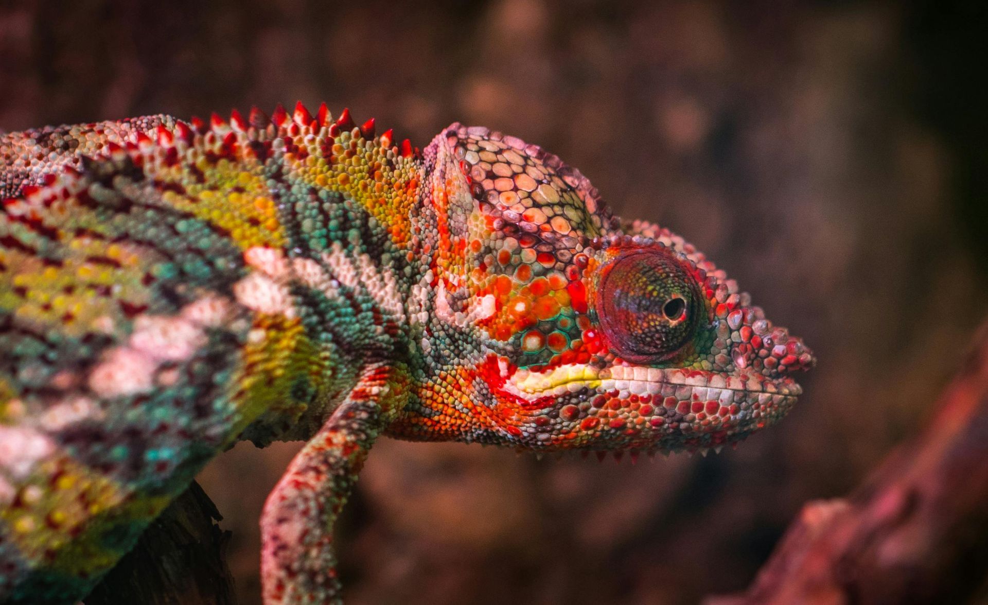 Madagascar