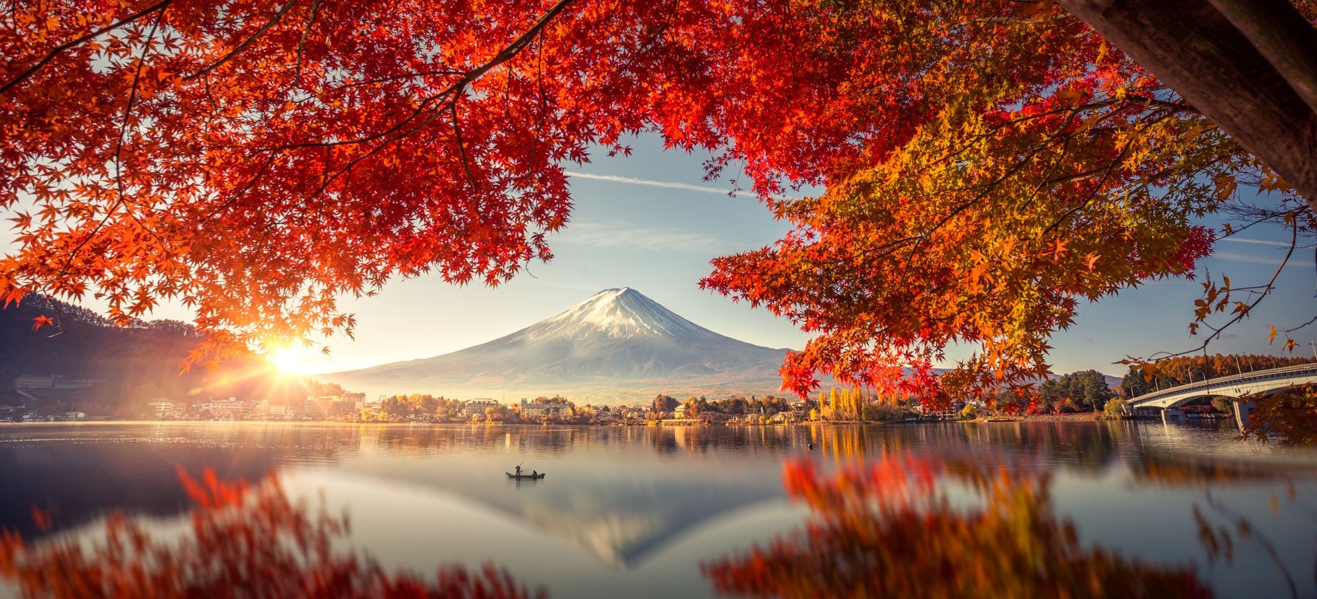 Japan Blossom Tour