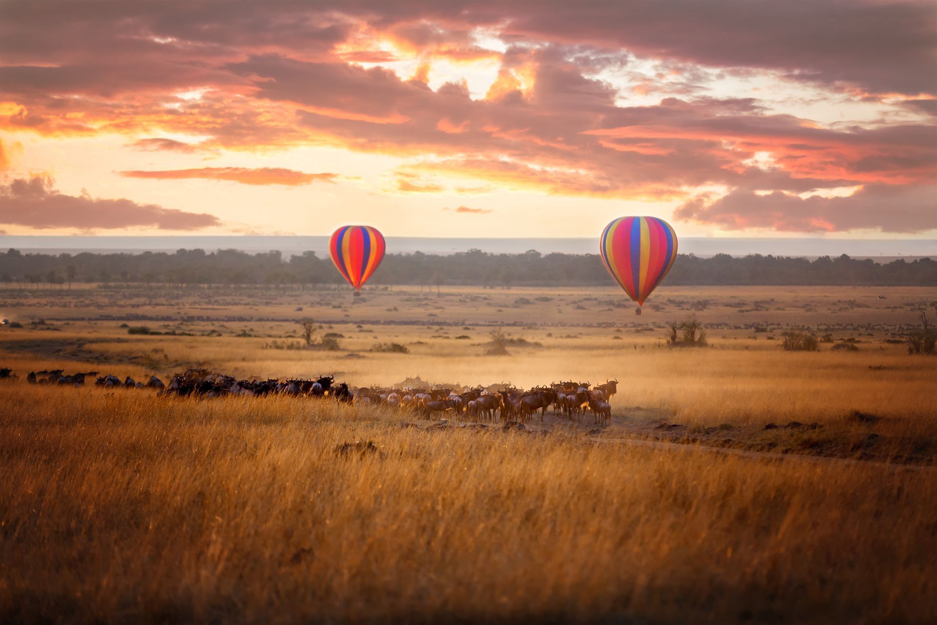 Africa hot air balloon safari wildlife tour