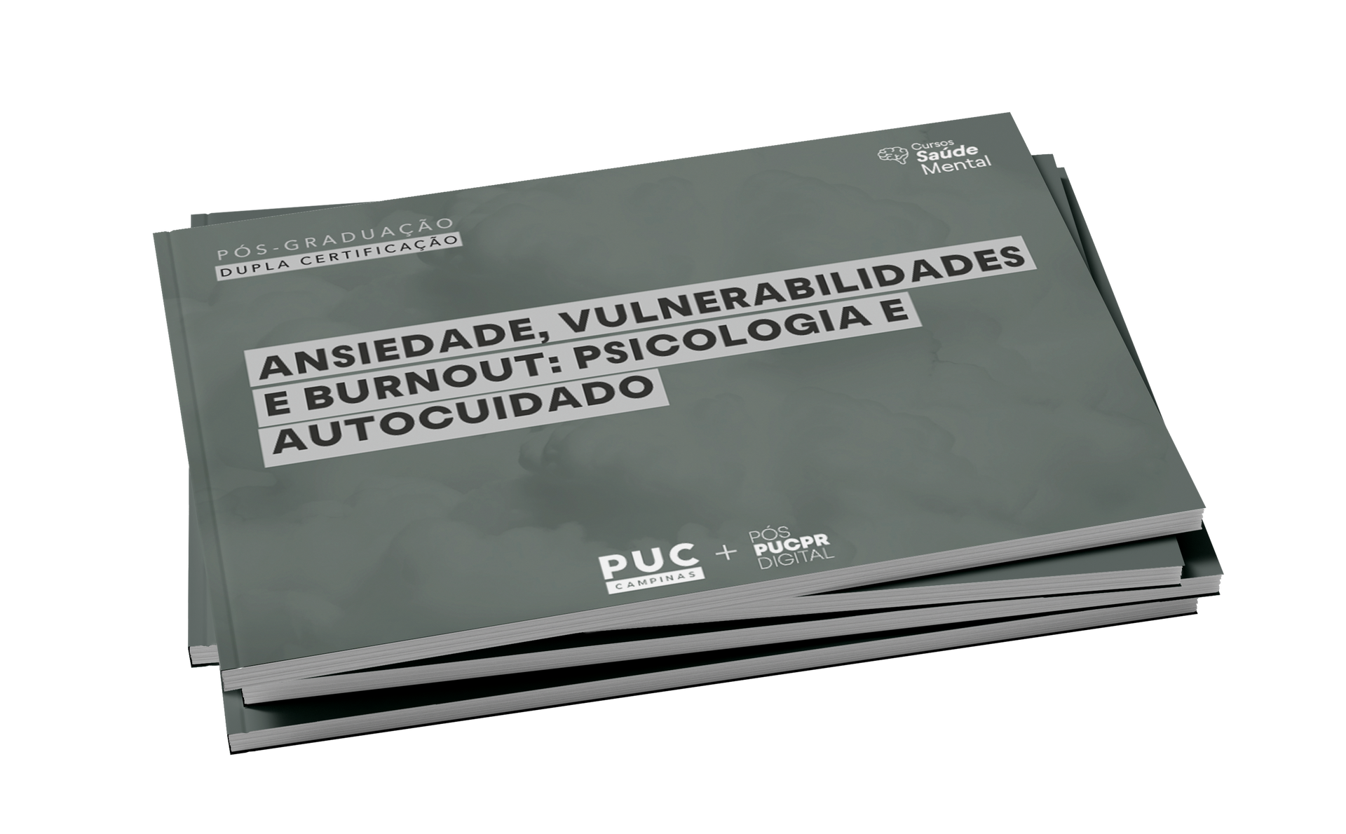 Guia do Curso