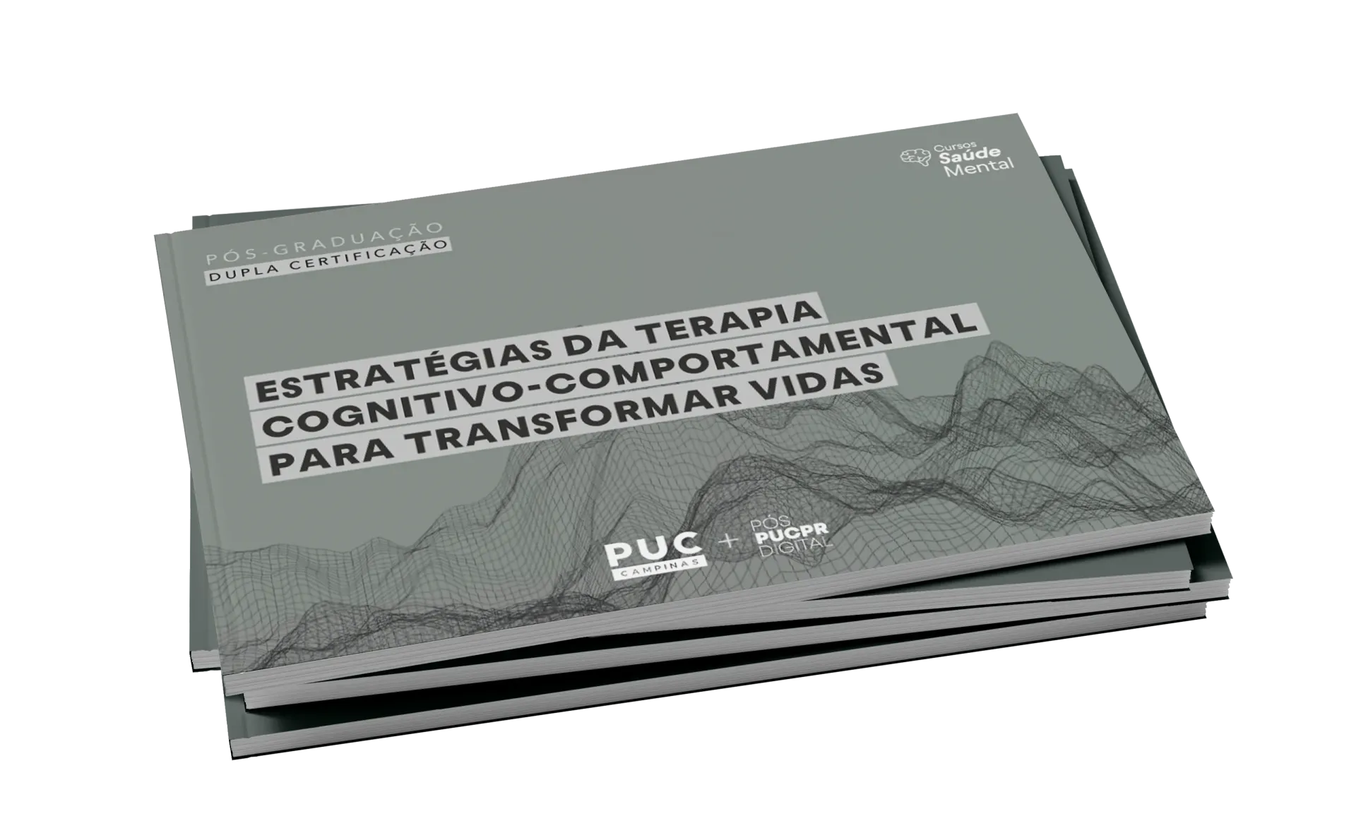 Guia do Curso