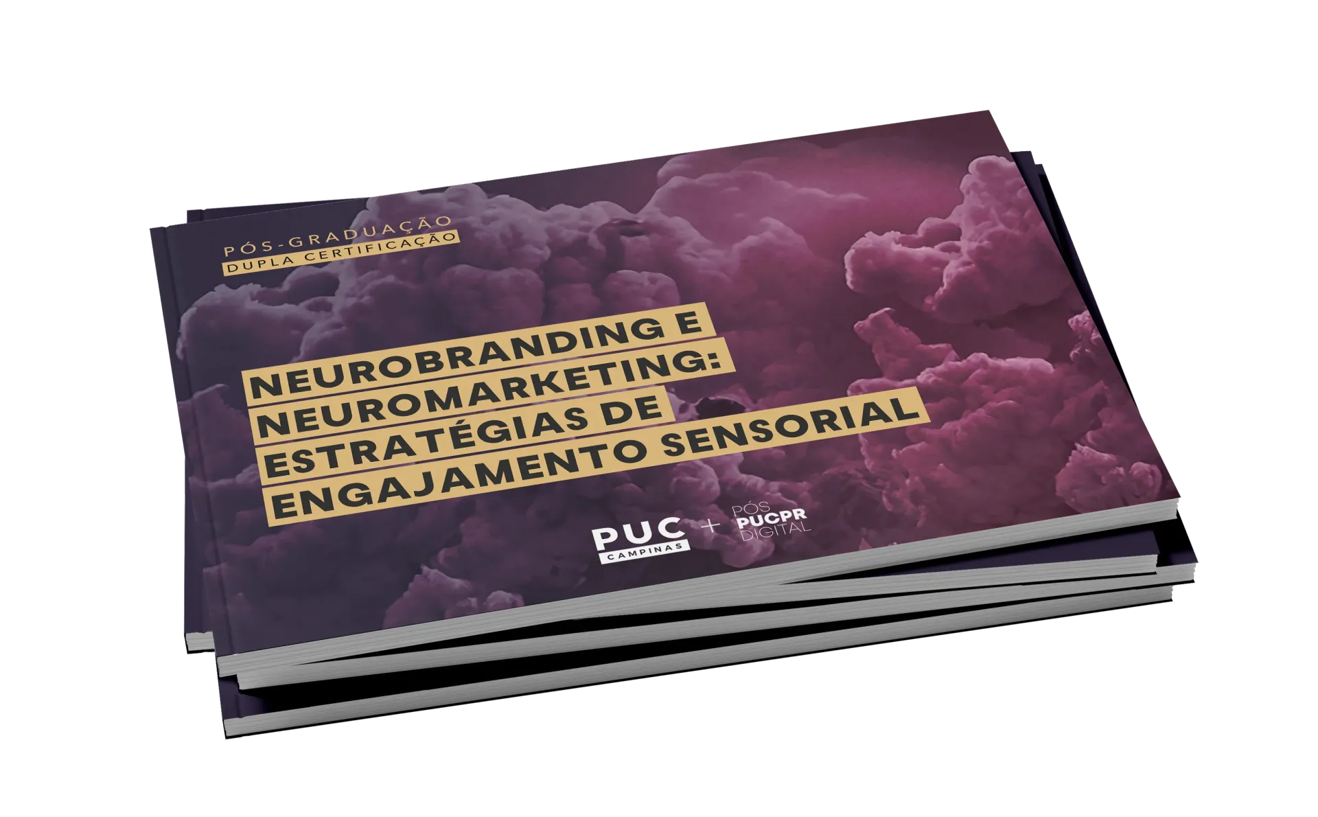 Guia do Curso