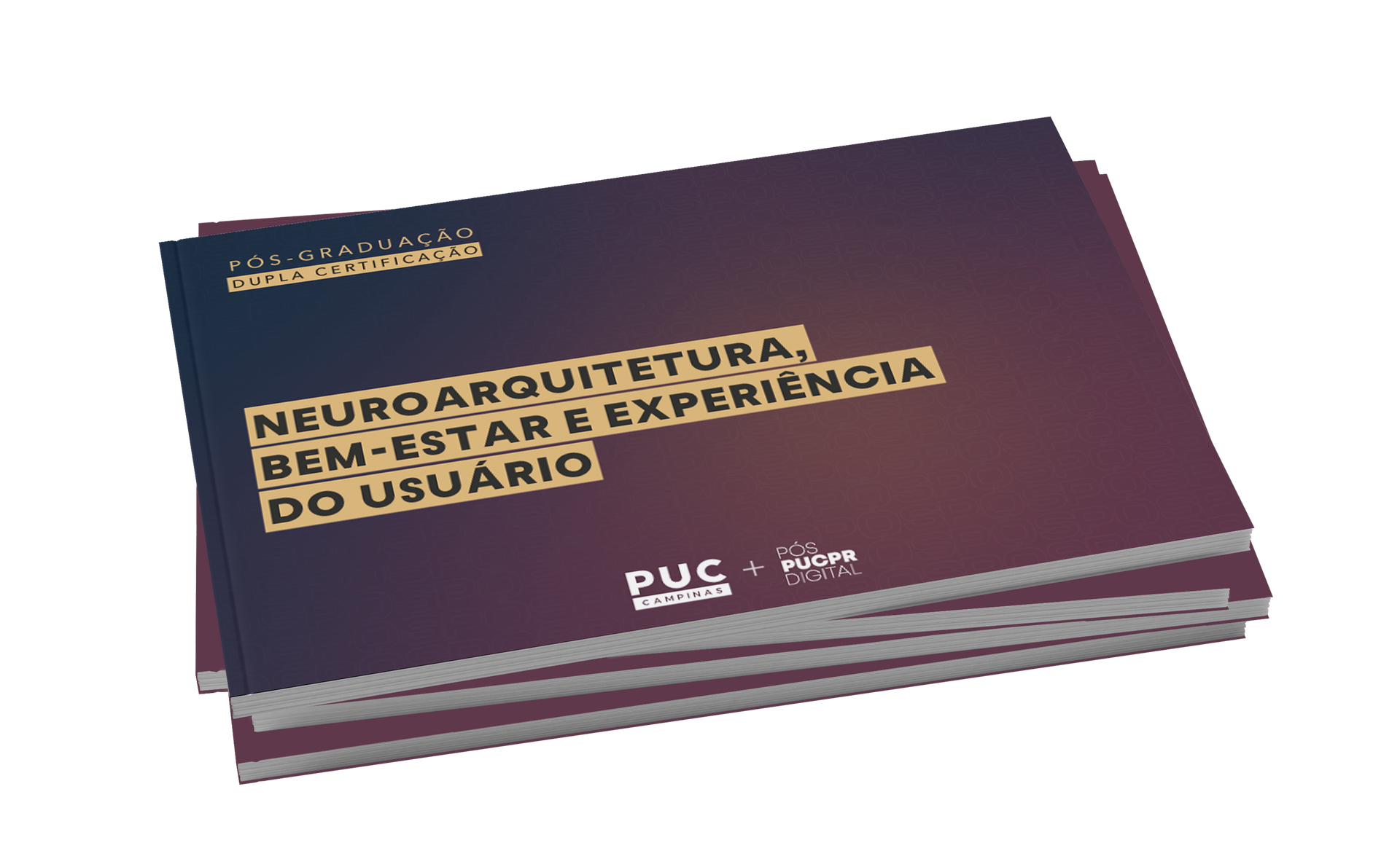 Guia do Curso