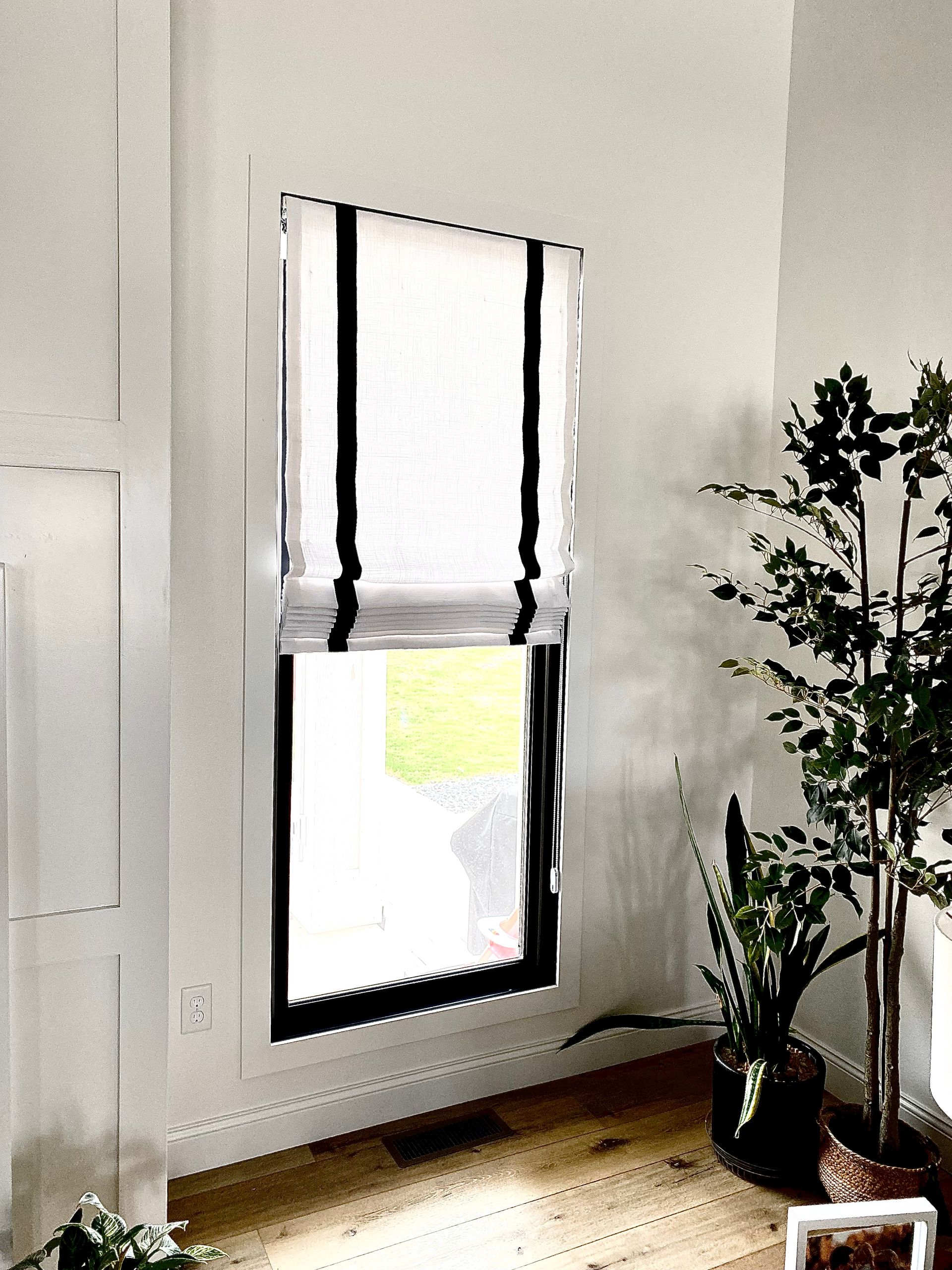A window with a black frame and roman shade, beside a houseplant, on a wood floor.