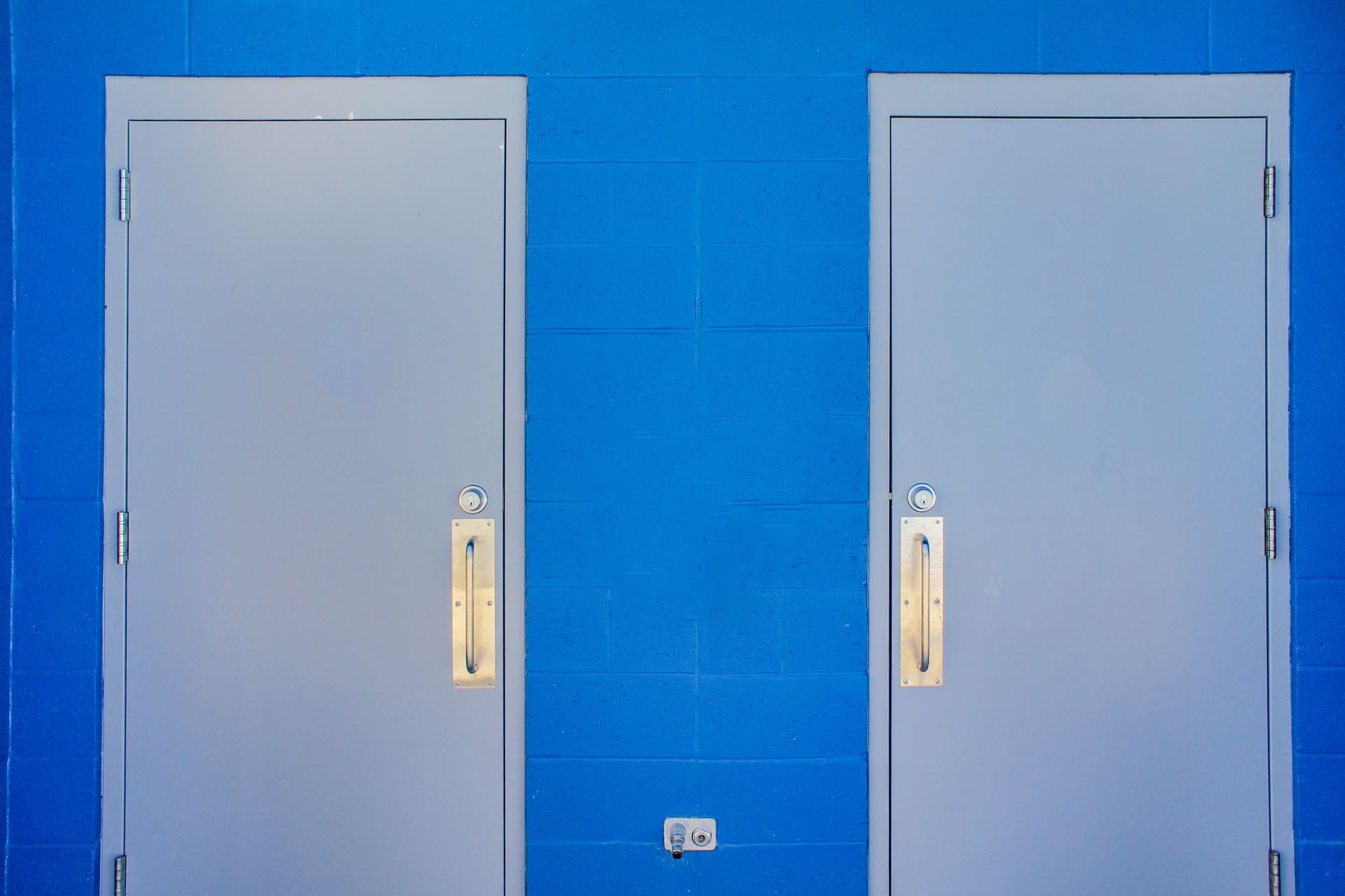 Pair of commercial metal doors featuring pull handles and a durable blue wall backdrop.