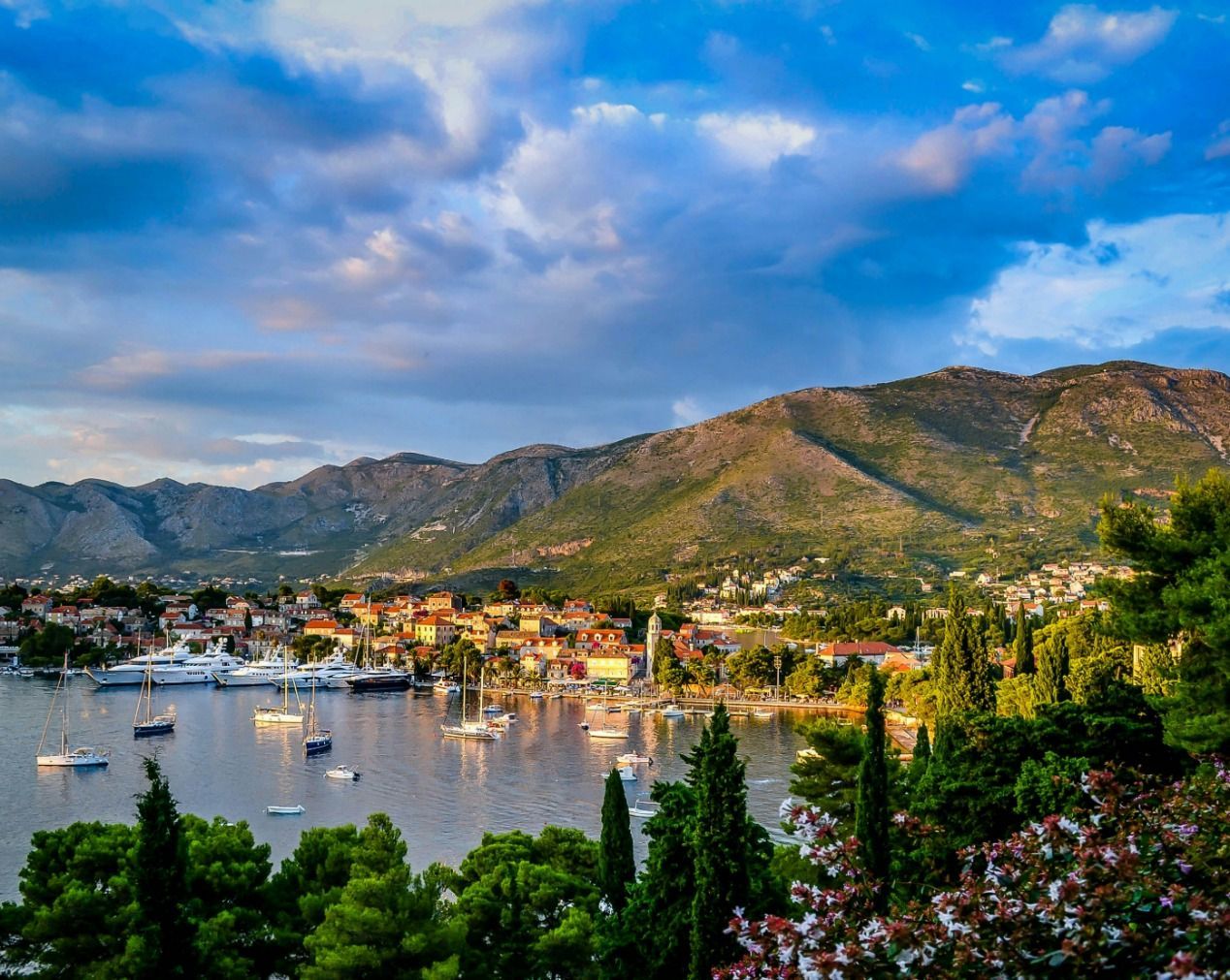 達爾馬提亞海岸 Dalmatian Coast_察夫塔特 Cavtat