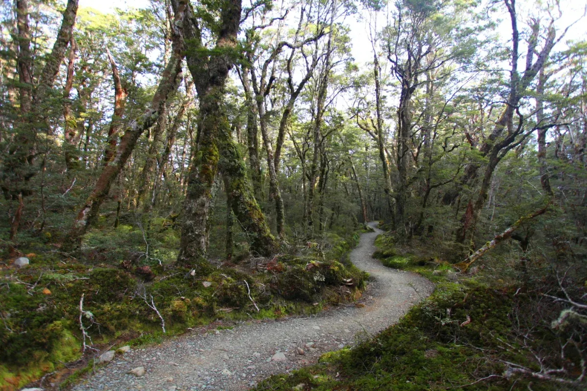 開普勒步道