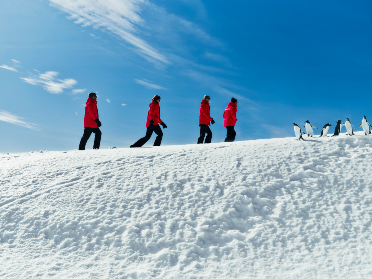 People wearing Parka are hiking across a snowy ridge under a blue sky in Antarctica.