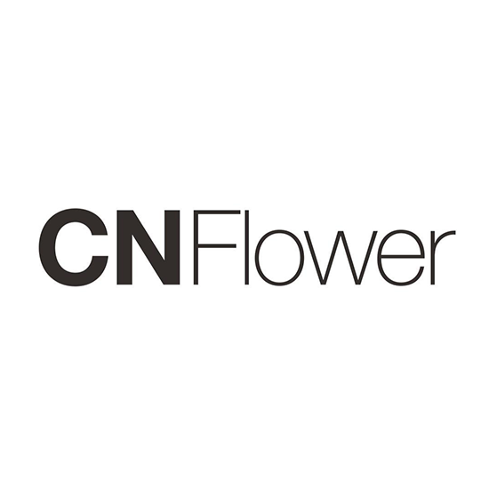 CNFlower 標誌：深灰色“CN”，“Flower”採用較細、較淺的字體。