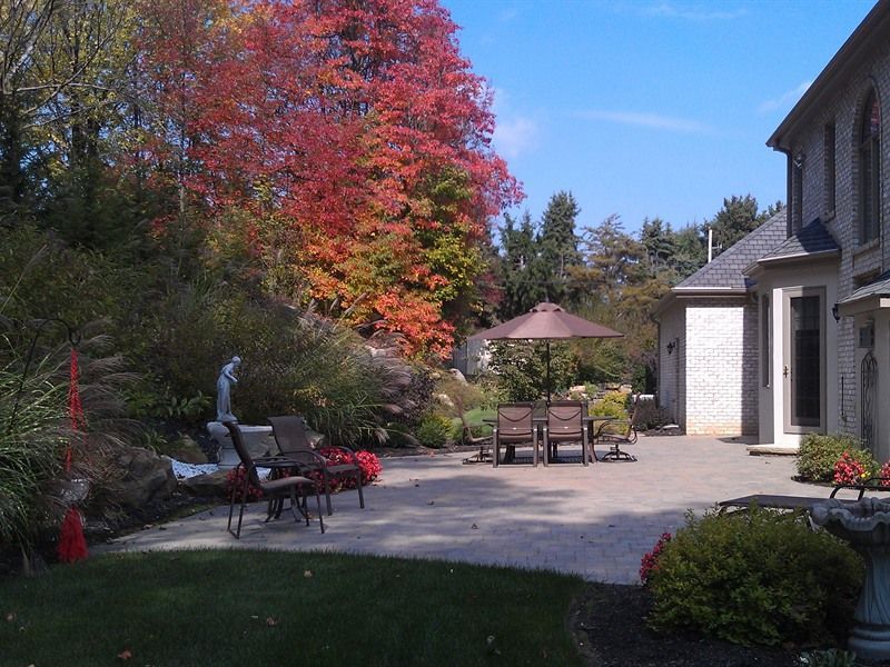 Patio with outdoor furniture, shrubs, and a colorful tree next to a house under a blue sky.