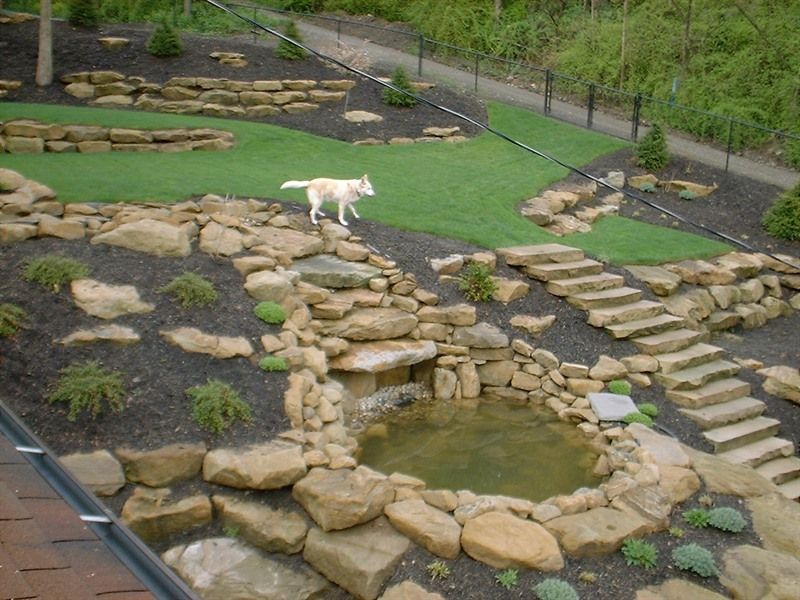 Dog walks in a tiered backyard with a pond, stone steps, and landscaping.