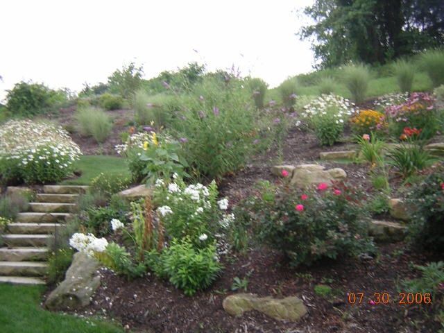Stone steps lead up a terraced hillside garden with colorful flowers.