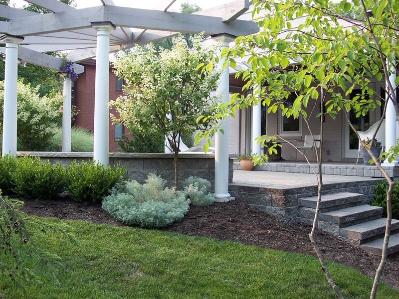 Landscaped yard with stone patio, pergola, steps, and various green plants.