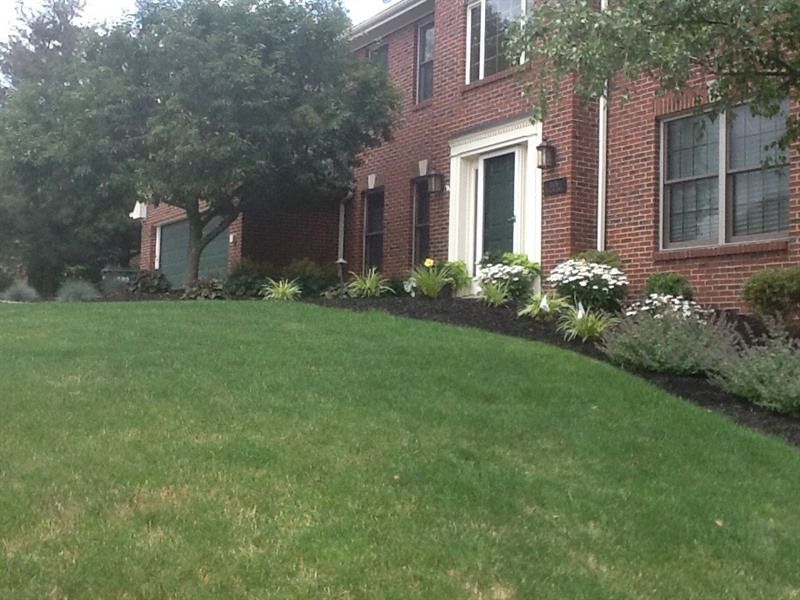 Lush green lawn slopes up to a brick house with flowerbeds and a tree.