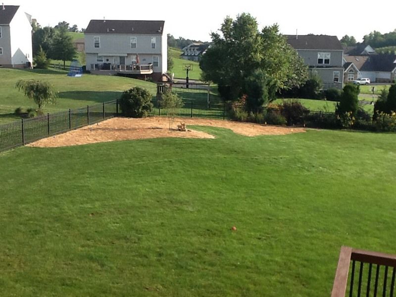 Green lawn with a section of wood chips, surrounded by a black fence. Houses and trees in the background.