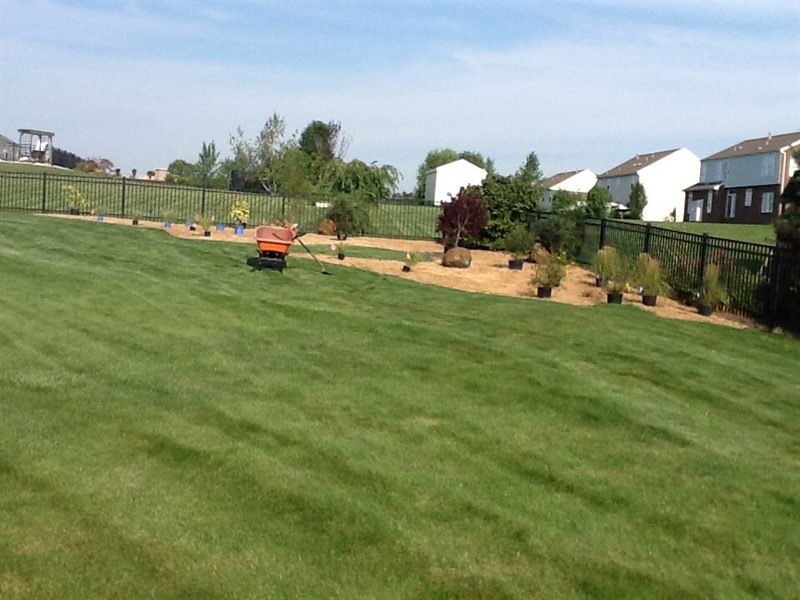 Green lawn slopes down to a landscaping area with plants and mulch; residential houses in background.