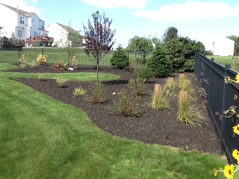 Landscaped backyard with mulch beds, varied shrubs, small tree, black fence, and green lawn.