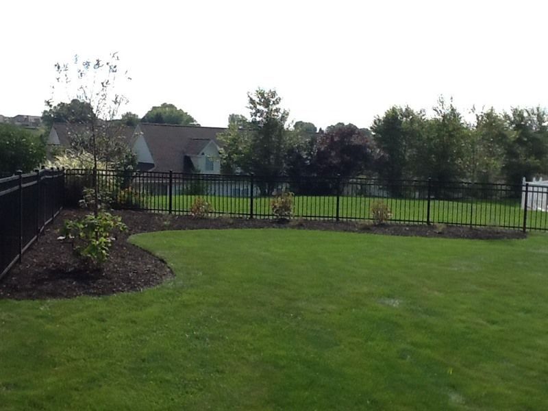 Lush green backyard with black metal fence surrounding, trees, and houses in the background.