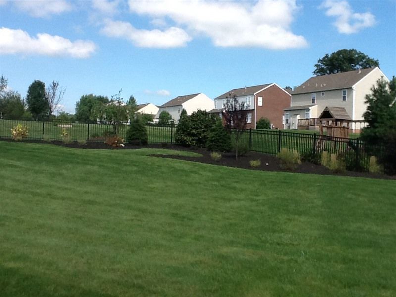 Green backyard with lawn, black fence, houses, and blue sky with clouds.