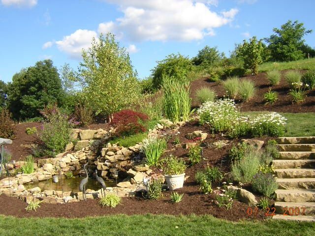 Landscaped hillside with pond, waterfall, stone steps, mulch, and various plants under a blue sky.