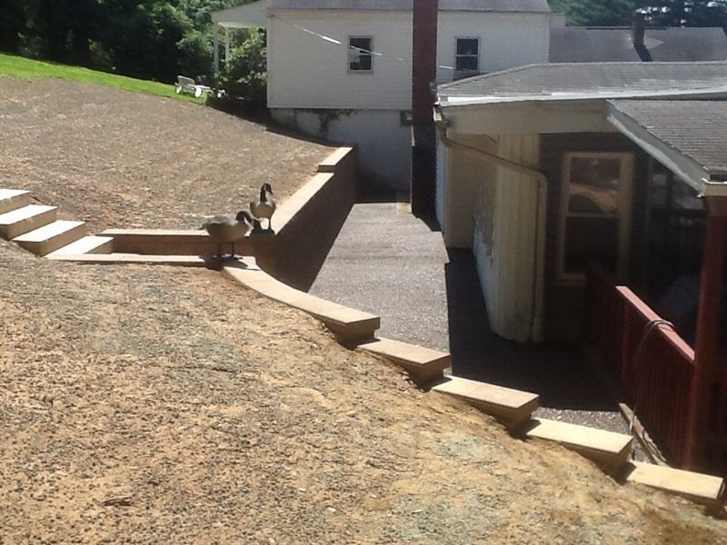 Two geese stand on a retaining wall next to a set of concrete steps and a paved path.
