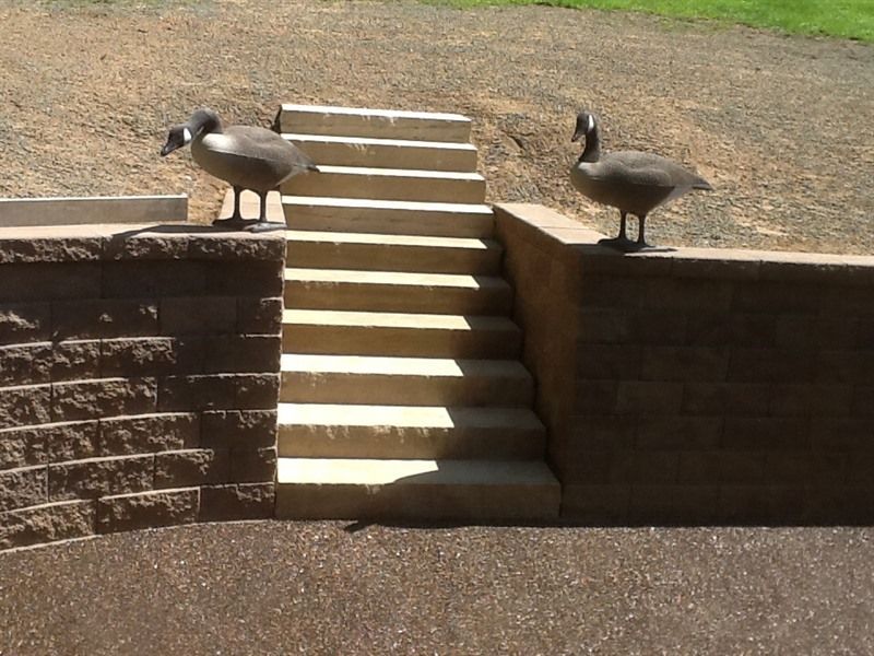 Two geese stand on brick walls flanking concrete steps outdoors.