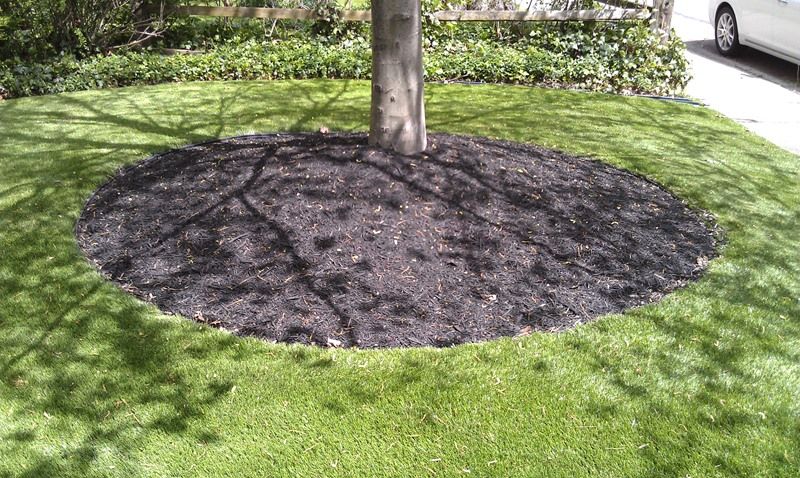 Dark mulch circle around a tree trunk in a grassy lawn.