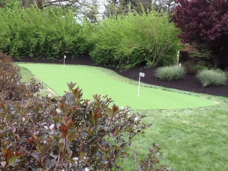 Green backyard putting green with two flags, surrounded by shrubs and grass.