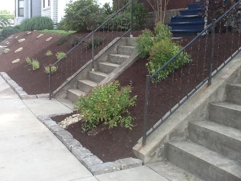 Concrete steps with black iron handrails lead up to a building, with landscaped beds of mulch and greenery.