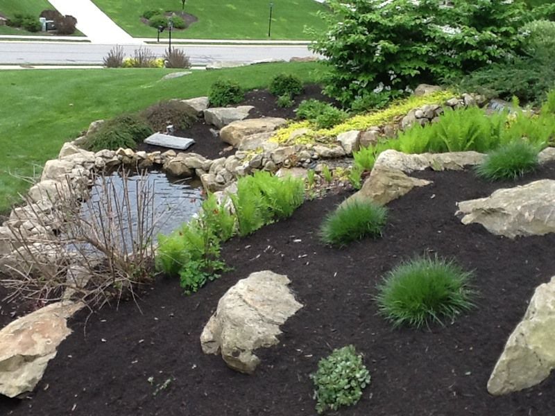 Landscaped garden with pond, rocks, dark mulch, and various green plants.