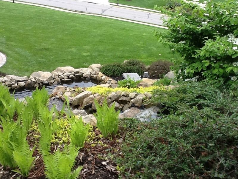 A landscaped garden with a small pond, waterfall, and lush greenery; a neatly mown lawn in the background.