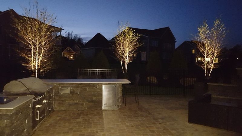 Outdoor patio at dusk with illuminated trees and built-in grill area.