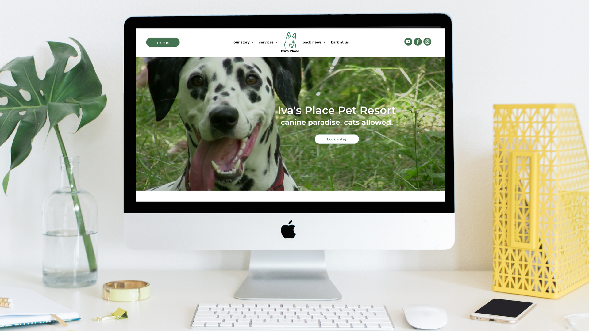 A dalmatian dog is on the screen of a computer.