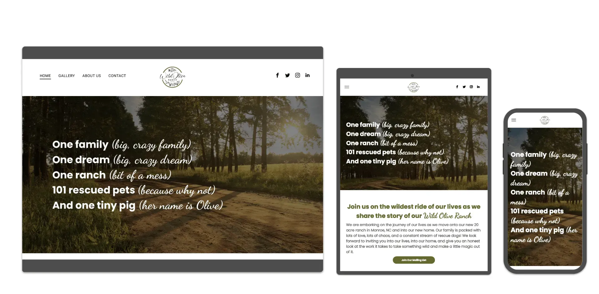 A website is displayed on a tablet , phone , and computer.