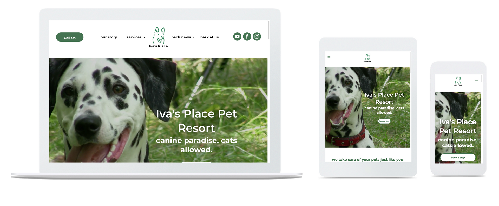 A dalmatian dog is displayed on a tablet , phone , and laptop.