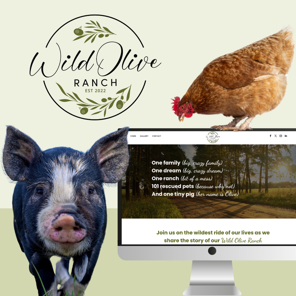 A pig and a chicken are standing next to a computer screen for wild olive ranch