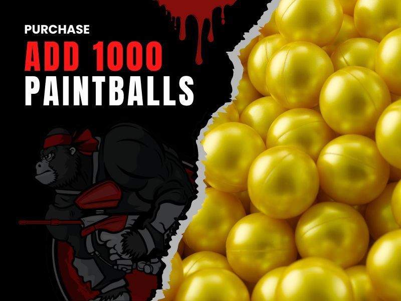 1000 Paintballs Price