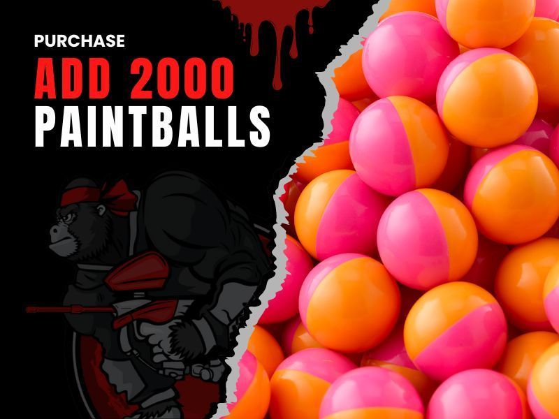 2000 Paintballs Price