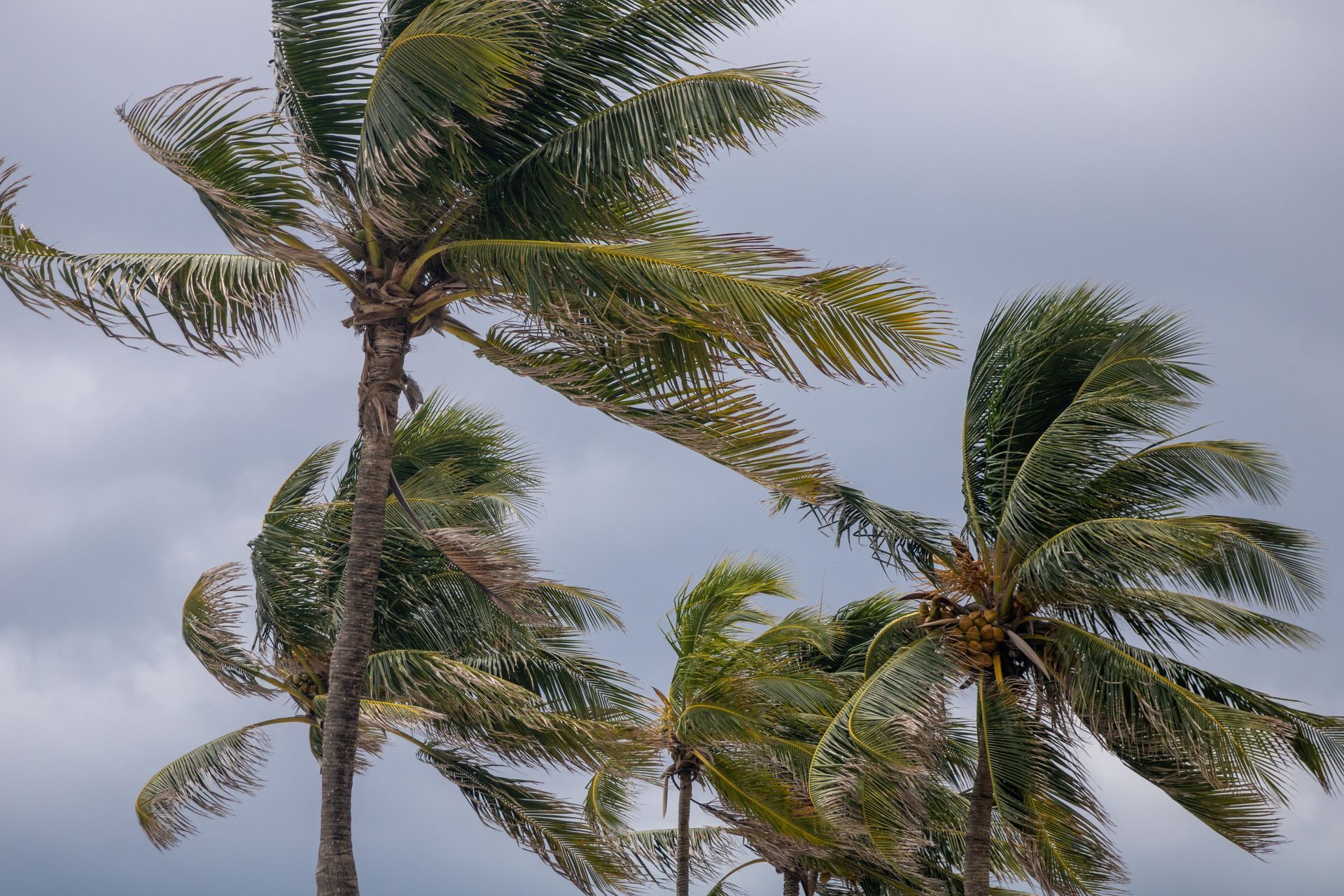 wind load ratings