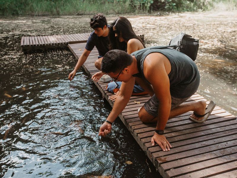 Três pessoas em um cais de madeira estendem as mãos em direção à água, possivelmente para alimentar os peixes. Ao ar livre, dia ensolarado.