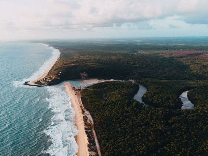 Vista aérea de uma praia que encontra uma exuberante floresta verde, com um rio serpenteando por ela.