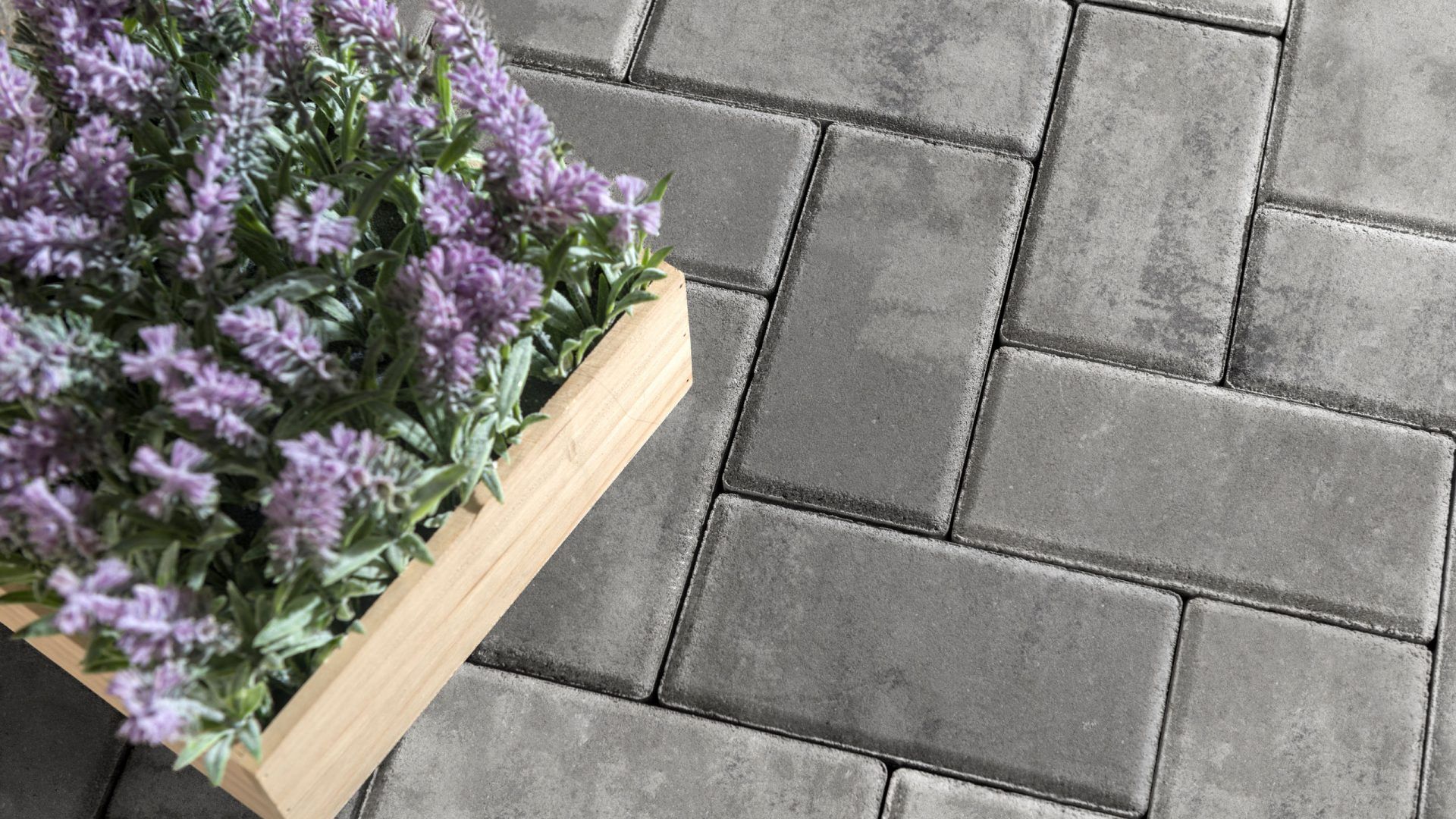 Holland Premier Paver