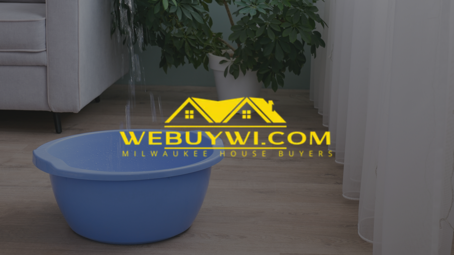 Blue bucket on floor catching water from a leak, near a window and plant.
