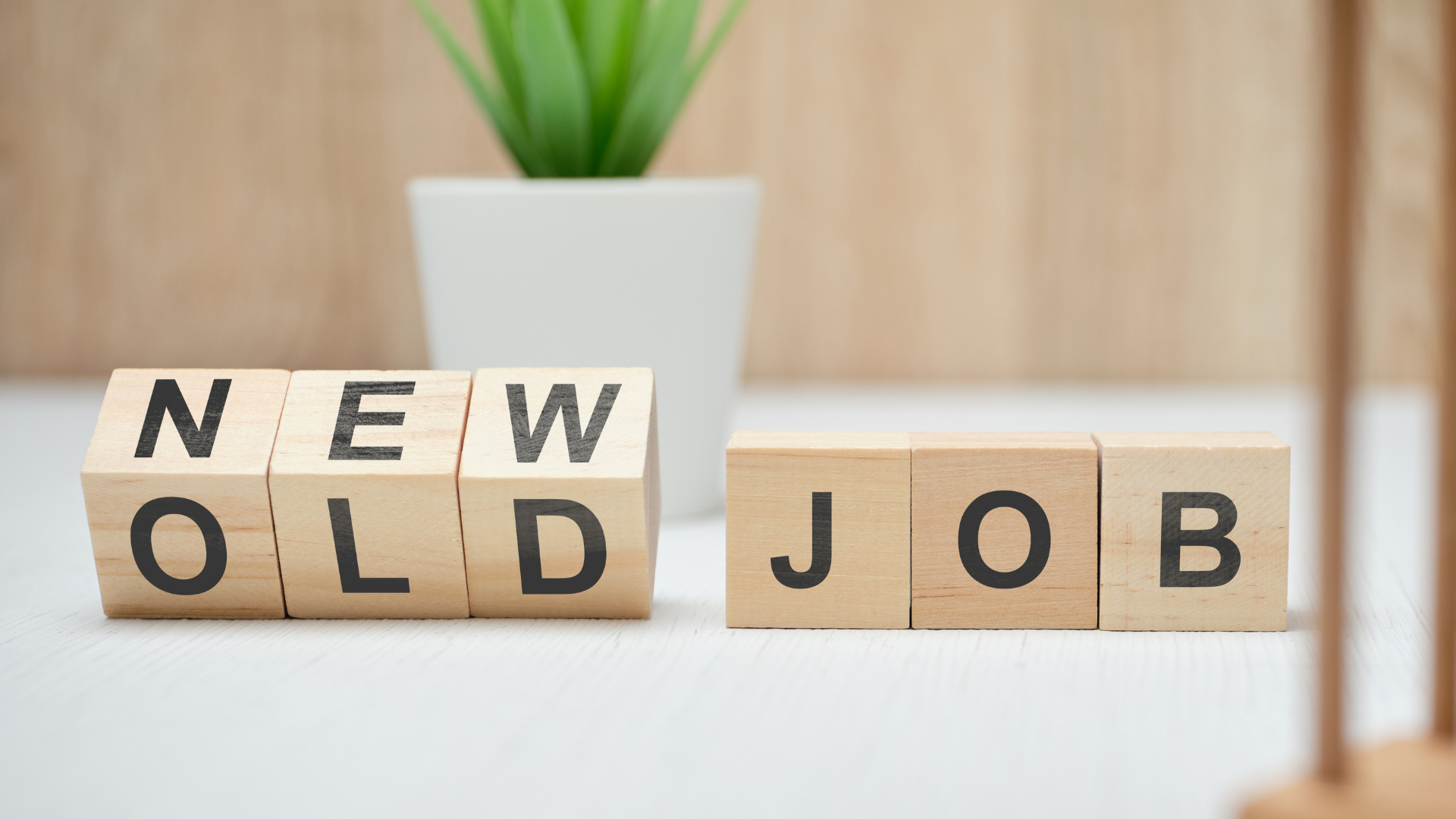The word new job is written on wooden blocks.