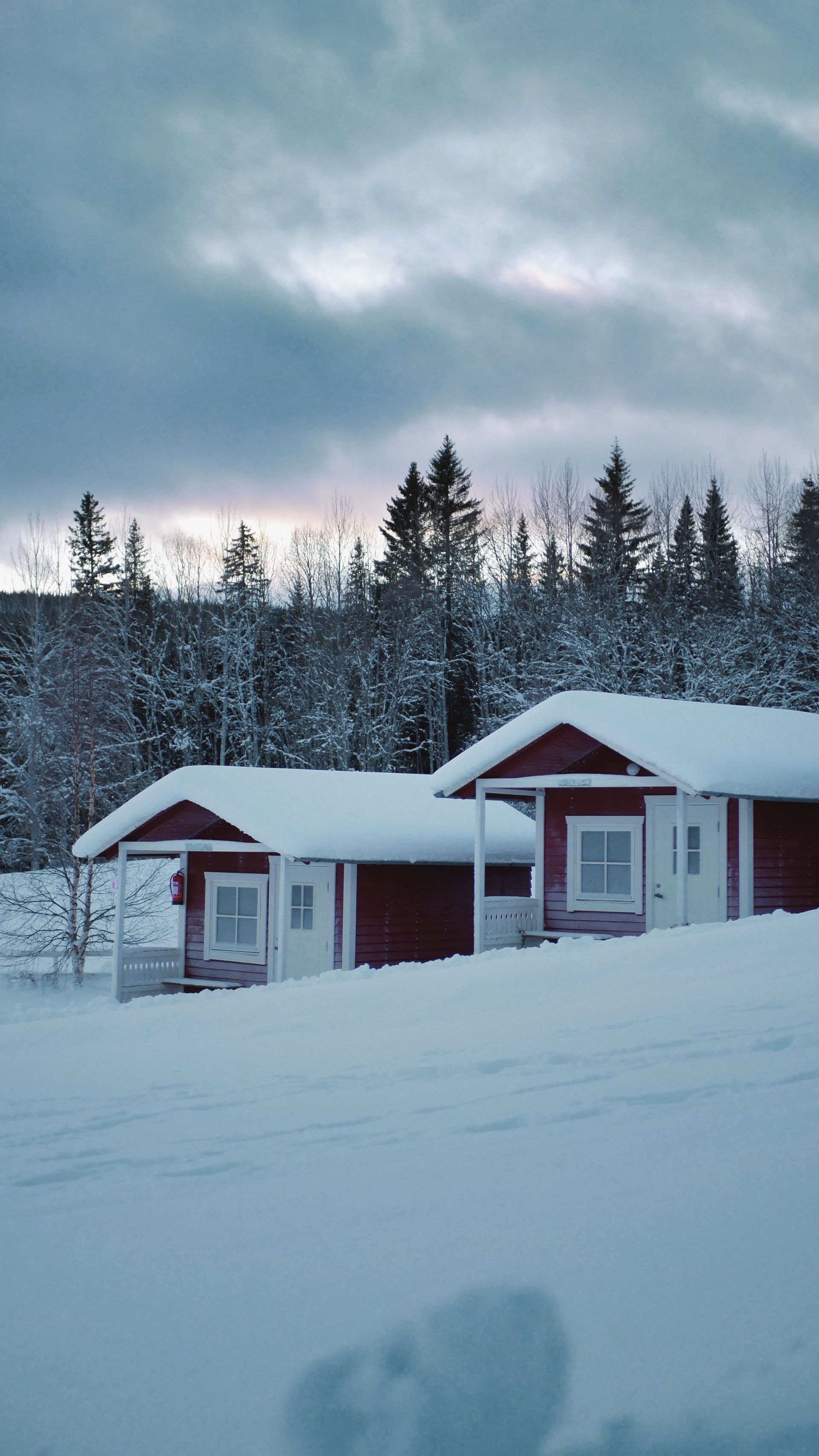 Snow-covered red cabins in a winter landscape with pine trees and a cloudy sky