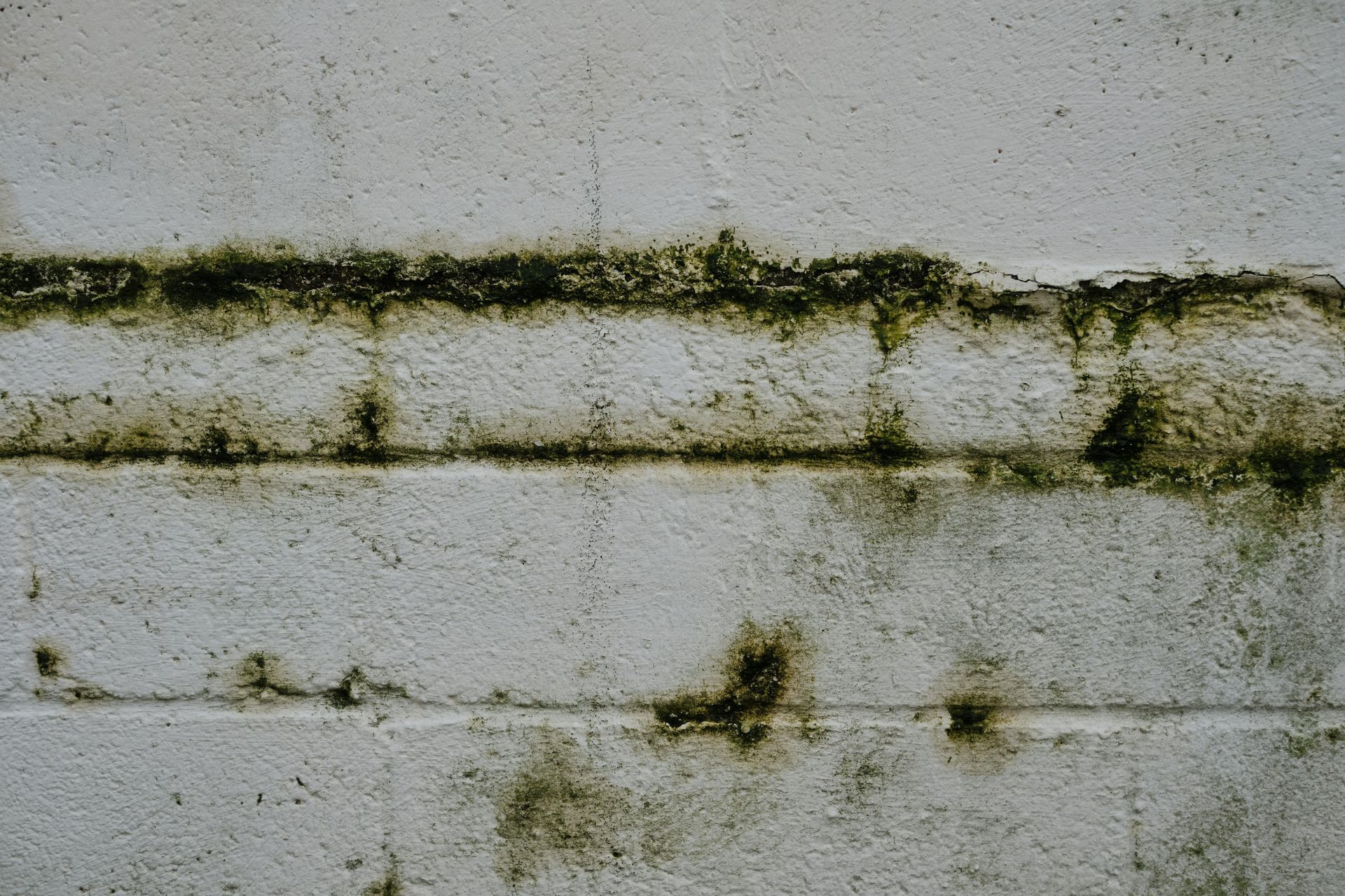 White wall with dark green mold and dirt streaks along horizontal seams