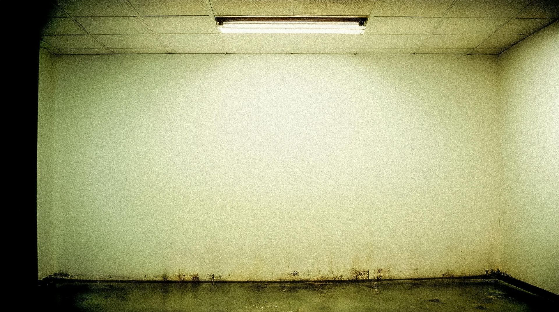 Empty stained room with white walls, ceiling light, and dark grime along the floor edges