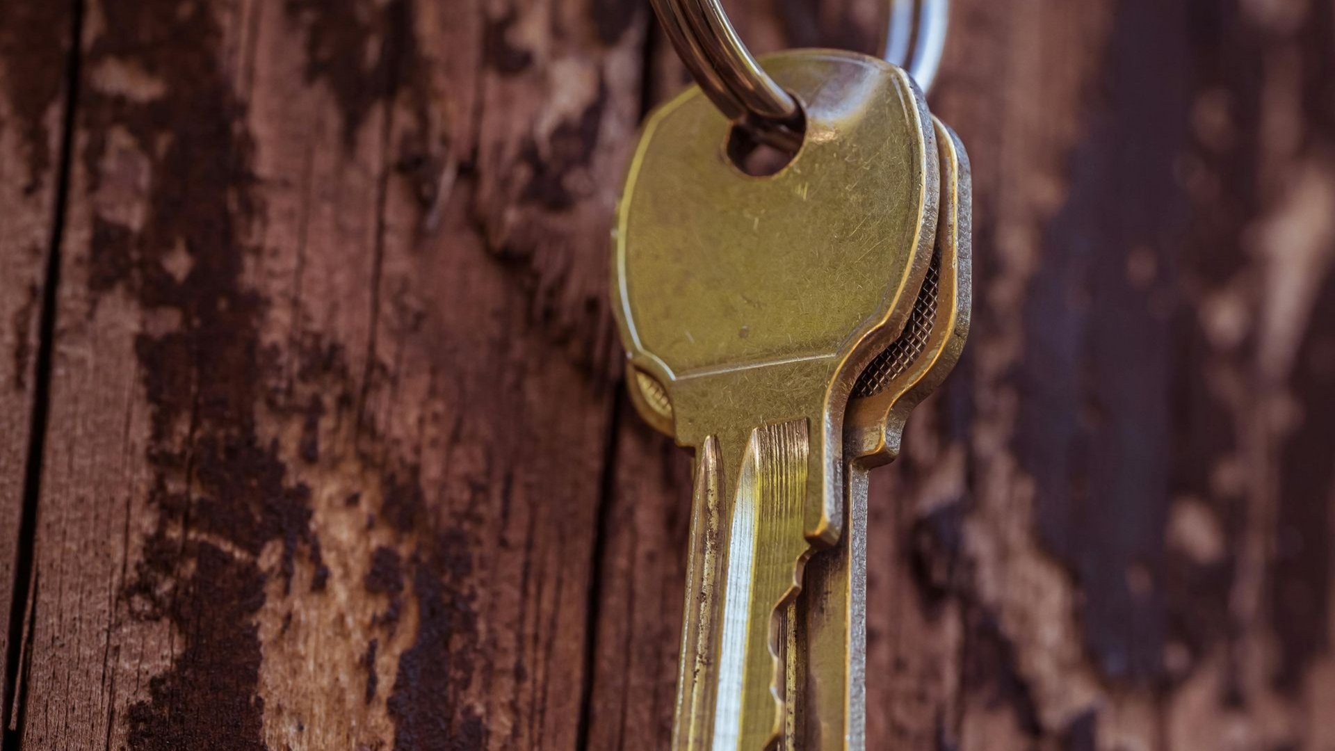 Green key in a keyhole on a door lock, with a metal key ring.