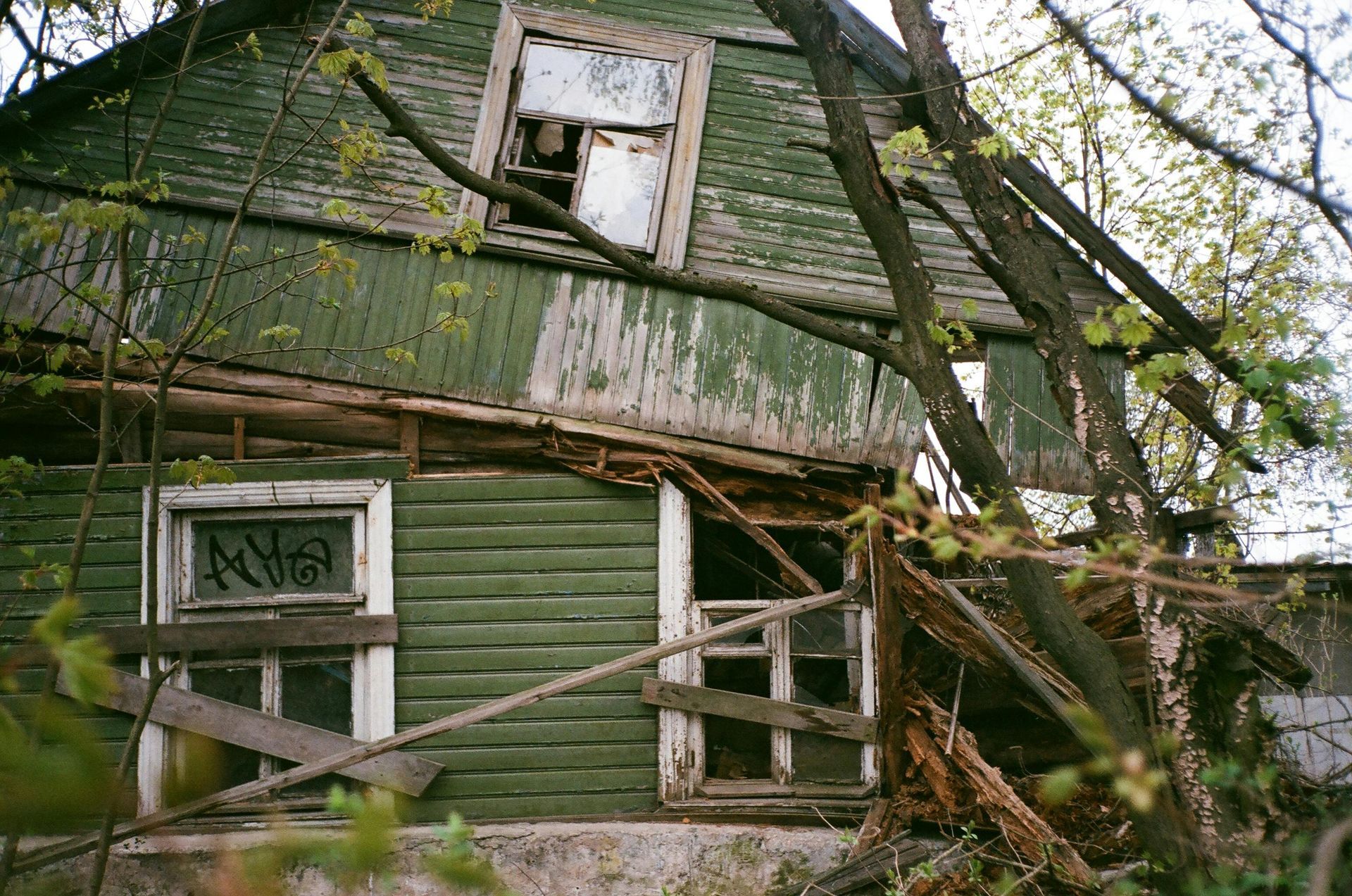 Dilapidated green wooden house with broken windows and fallen roof beams, surrounded by overgrown trees.