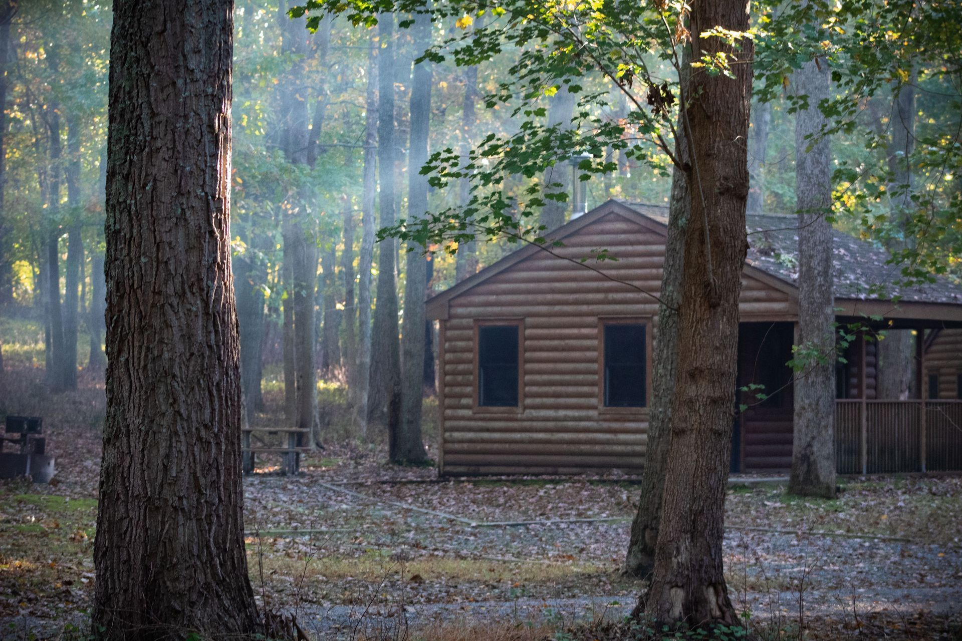Rustic cabin among tall trees in a misty forest at dawn